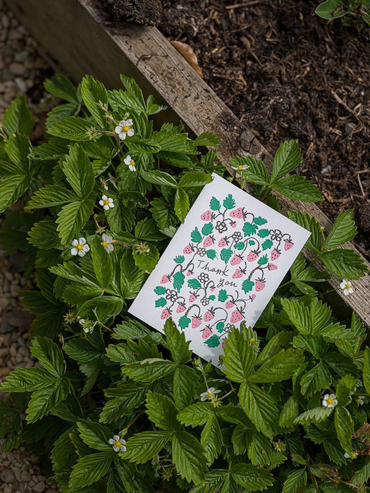 Strawberry Thank You