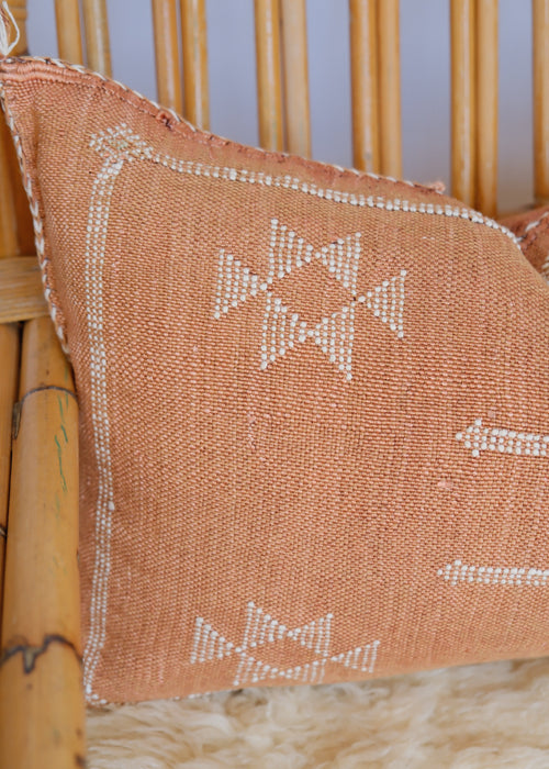 Cactus Cushion | Burnt Clay & Cream II