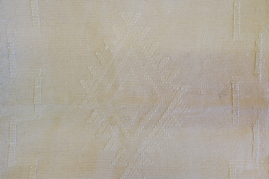 Cactus Cushion | Long Lumber | Colours Available