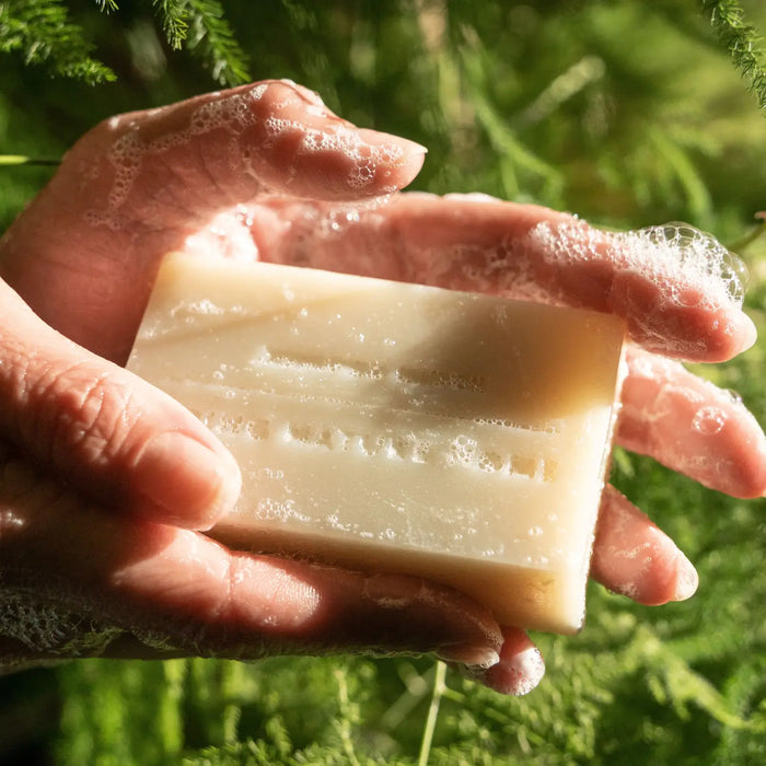Bar Soap | White Sage